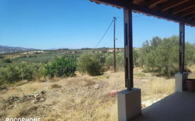 Estate with 9,780 sq.m. Plot in Pagkalochori, Rethymno